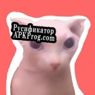 Русификатор для A BINGUS GAME