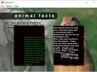 Русификатор для animal facts