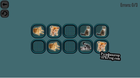 Русификатор для Animals Memory Cats