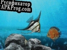 Русификатор для Aquarium