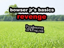 Русификатор для bowser jrs basics revenge