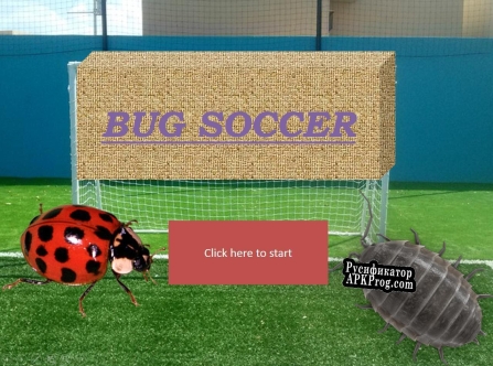 Русификатор для Bug Soccer