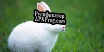 Русификатор для Bunny (William Thomas S.P.R)