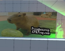 Русификатор для Capybara Museum