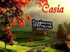 Русификатор для Casia