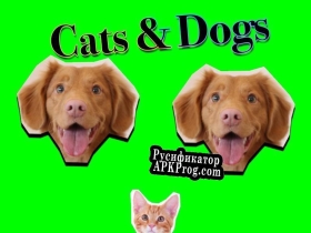 Русификатор для Cats and Dogs