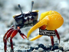 Русификатор для Crab Simulator