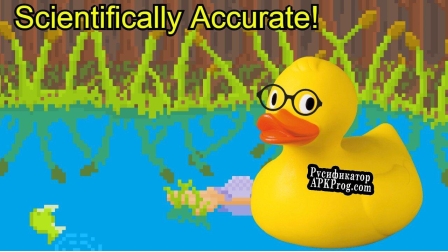 Русификатор для Duck Simulator 2020