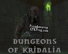 Русификатор для Dungeons of Kridalia