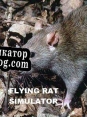 Русификатор для Flying Rat Simulator