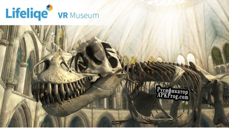 Русификатор для Lifeliqe VR Museum