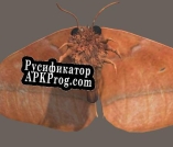 Русификатор для MOTH LAMP ADVENTURES