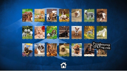 Русификатор для Puppy Dog Jigsaw Puzzles