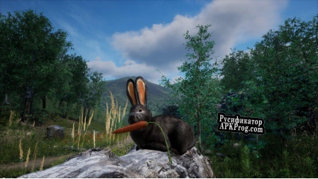 Русификатор для Rabbit Meadow