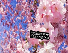 Русификатор для sakura (orenjiyuki)