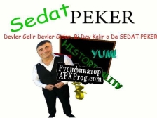 Русификатор для Sedat Peker Oyun