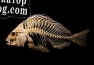 Русификатор для Skeleton Fish