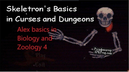 Русификатор для Skeletrons Basics in Curses and Dungeons ( Alex Basics In Biology and Zoology 4 i think)