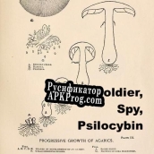 Русификатор для Soldier, Spy, Psilocybin