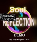 Русификатор для Soul Reflection