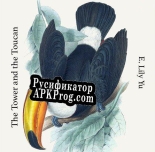 Русификатор для The Tower and the Toucan