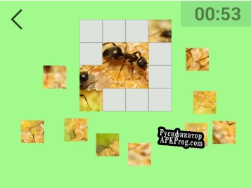 Русификатор для Ultimate Puzzles Insects