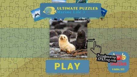 Русификатор для Ultimate Puzzles Marine Life 3