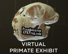 Русификатор для Virtual Primate Exhibit