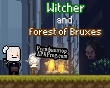 Русификатор для Witcher and forest of Bruxes